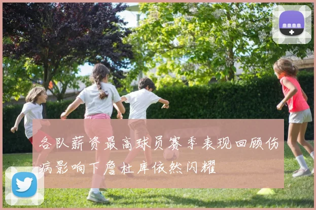 各队薪资最高球员赛季表现回顾伤病影响下詹杜库依然闪耀