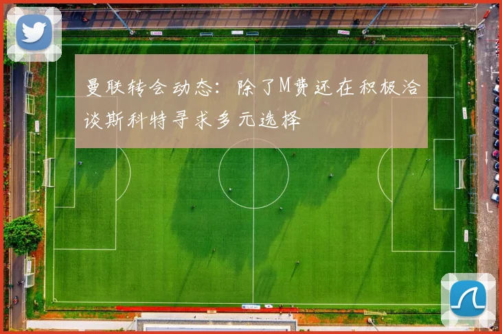 曼联转会动态：除了M费还在积极洽谈斯科特寻求多元选择